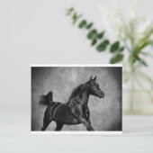 Carte Postale Le noir (Debout devant)