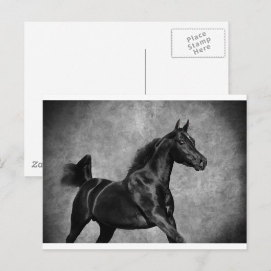 Carte Postale Le noir (Devant / Derrière)