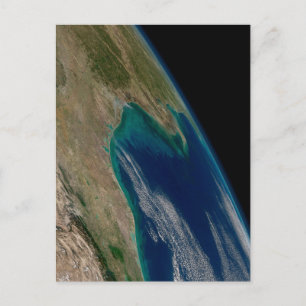 Carte Postale Le Nord Du Golfe Du Mexique.