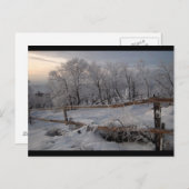 Carte Postale Le Nord gelé (Devant / Derrière)