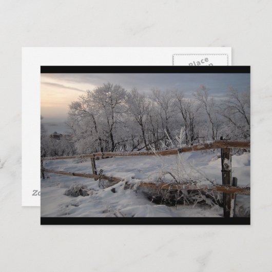 Carte Postale Le Nord gelé (Devant / Derrière)