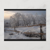 Carte Postale Le Nord gelé (Devant)