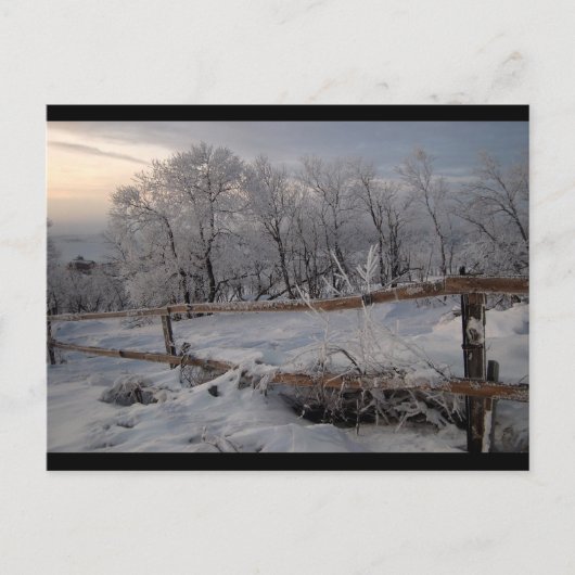 Carte Postale Le Nord gelé (Devant)