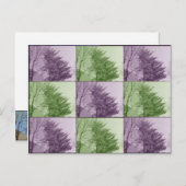 Carte Postale le northgate neuf (Devant / Derrière)