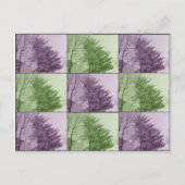 Carte Postale le northgate neuf (Devant)