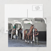 Carte Postale Le Paddock de Belmont Park (Devant / Derrière)
