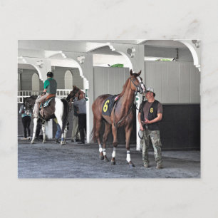Carte Postale Le Paddock de Belmont Park
