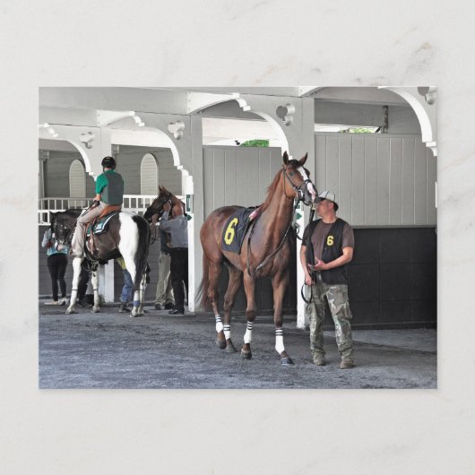 Carte Postale Le Paddock de Belmont Park (Devant)