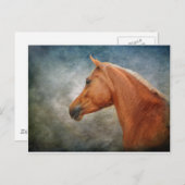 Carte Postale Le Palomino (Devant / Derrière)