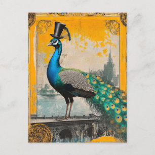 Carte Postale Le paon royal en chapeau