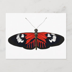 Carte Postale Le papillon du facteur rouge