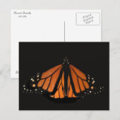 Carte Postale Le papillon Monarque dans la clé d'Orange (Devant / Derrière)