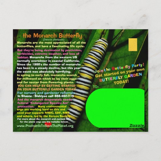 Carte Postale Le papillon monarque est en danger - aidez-les - (Dos)