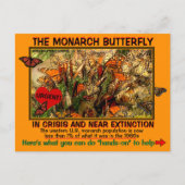 Carte Postale Le papillon monarque est en danger, comment aider  (Devant)