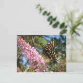 Carte Postale Le papillon parfait ! (Debout devant)