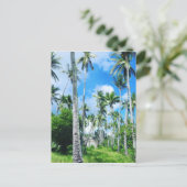 Carte Postale Le paradis dans le Pacifique (Debout devant)