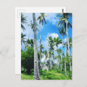 Carte Postale Le paradis dans le Pacifique (Devant / Derrière)