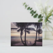 Carte Postale Le paradis des Beachcomber (Debout devant)