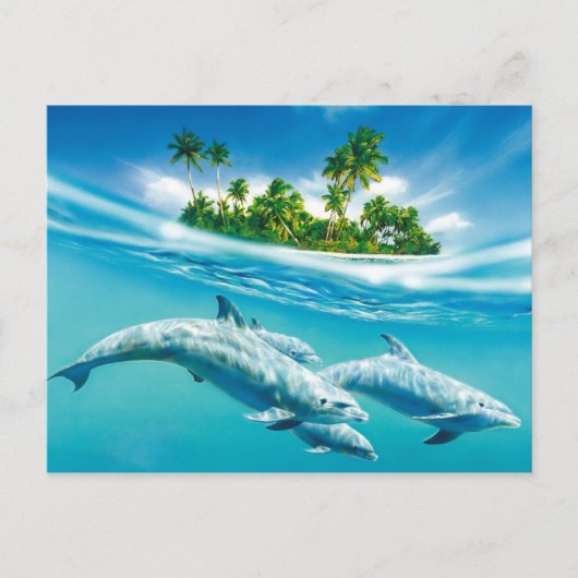 Carte Postale Le paradis des dauphins (Devant)
