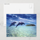 Carte Postale Le paradis des dauphins (Devant / Derrière)