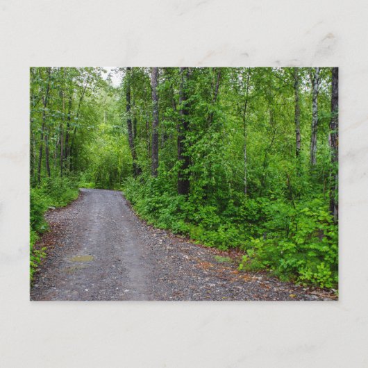 Carte Postale Le paradis vert (Devant)