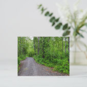 Carte Postale Le paradis vert (Debout devant)