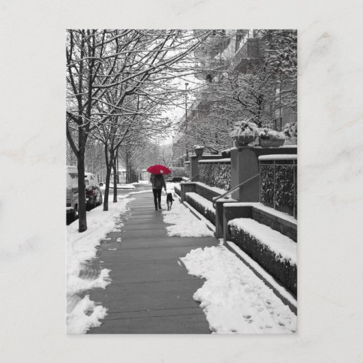 Carte Postale Le parapluie rouge (Devant)