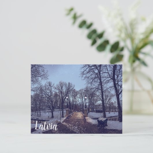 Carte Postale Le parc de la ville enneigé en hiver le soir (Debout devant)