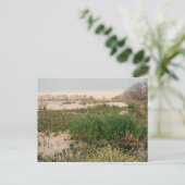Carte Postale Le Parc d'État de Brazos (Debout devant)