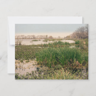 Carte Postale Le Parc d'État de Brazos