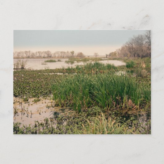 Carte Postale Le Parc d'État de Brazos (Devant)