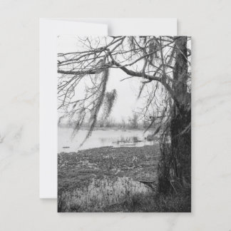 Carte Postale Le Parc d'État de Brazos