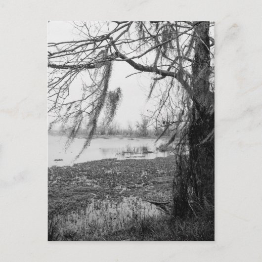 Carte Postale Le Parc d'État de Brazos (Devant)