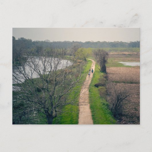 Carte Postale Le Parc d'État de Brazos (Devant)