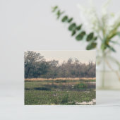 Carte Postale Le Parc d'État de Brazos (Debout devant)