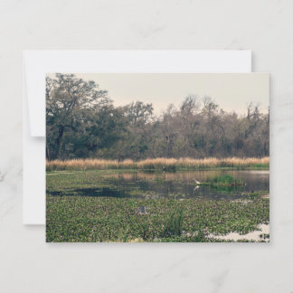 Carte Postale Le Parc d'État de Brazos