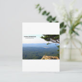 CARTE POSTALE LE PARC D'ÉTAT DE CHEAHA - LE POINT LE PLUS ÉLEVÉ  (Debout devant)