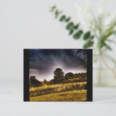 CARTE POSTALE LE PARC INCROYABLE (Debout devant)