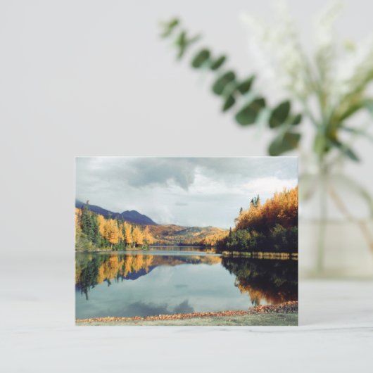 Carte Postale Le parc Long Lake State Park (Debout devant)