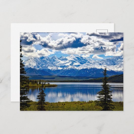 Carte Postale Le Parc national de Denali (Devant / Derrière)