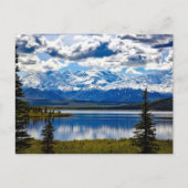Carte Postale Le Parc national de Denali (Devant)