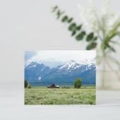 Carte Postale Le Parc national de Grand Teton (Debout devant)