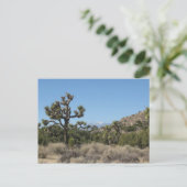 Carte Postale Le Parc national de Joshua Tree (Debout devant)