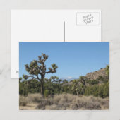 Carte Postale Le Parc national de Joshua Tree (Devant / Derrière)