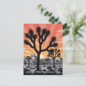 Carte Postale Le Parc national de Joshua Tree (Debout devant)