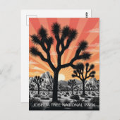 Carte Postale Le Parc national de Joshua Tree (Devant / Derrière)