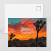 Carte Postale Le Parc national de Joshua Tree (Devant / Derrière)