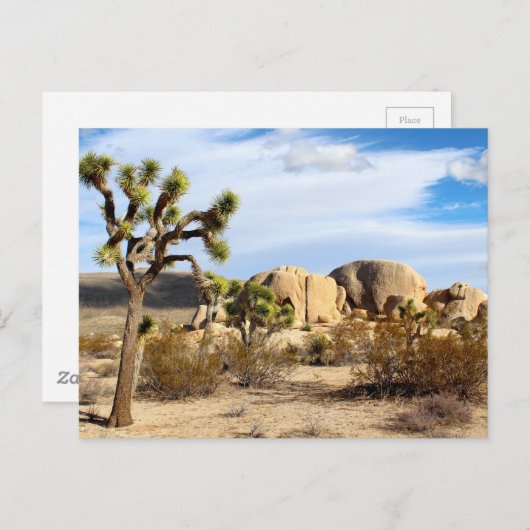Carte Postale Le Parc national de Joshua Tree (Devant / Derrière)