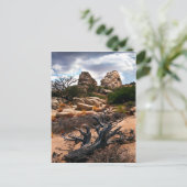Carte Postale Le Parc national de Joshua Tree (Debout devant)