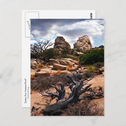 Carte Postale Le Parc national de Joshua Tree (Devant / Derrière)